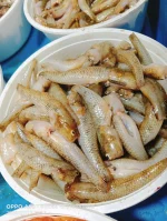 বেলে মাছ (মিডিয়াম )