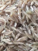 দেশি হাওরের কাচকি মাছ
