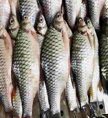 সরপুটি মাছ