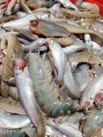 প্রিমিয়াম পাচমিশালি মাছ