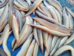 ছোট বাইম