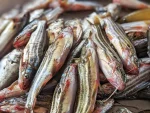 দেশি টেংরা গোলসা - Image 3