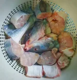 আঁইড় মাছ (২.১–৩ কেজি) - Image 3