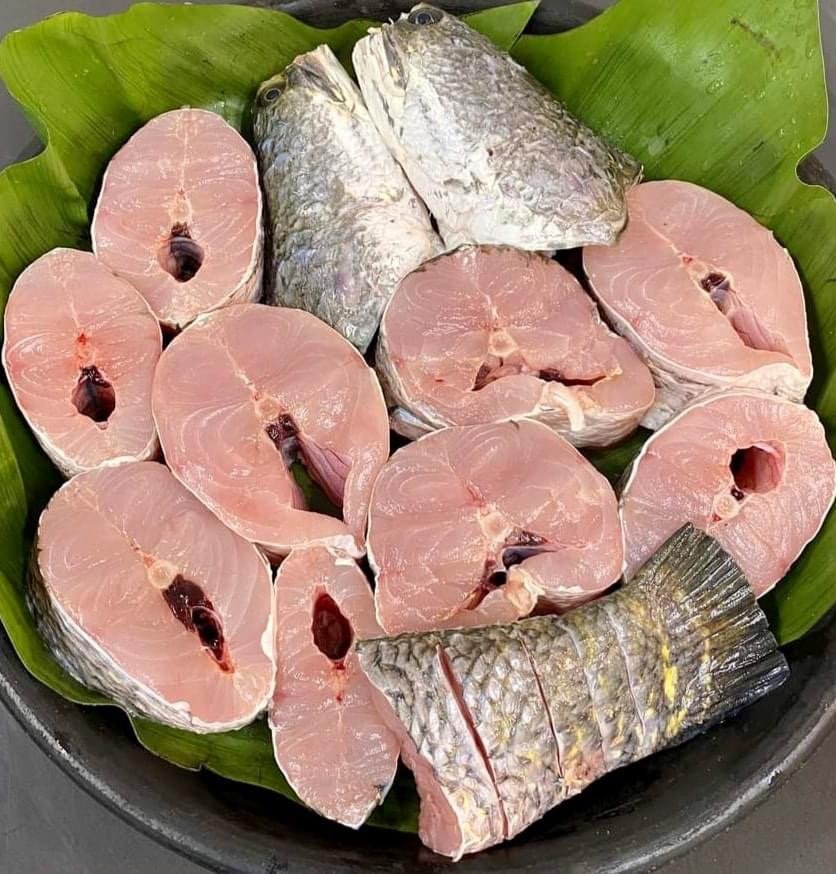 শোল মাছ (২টি = ১ কেজি)
