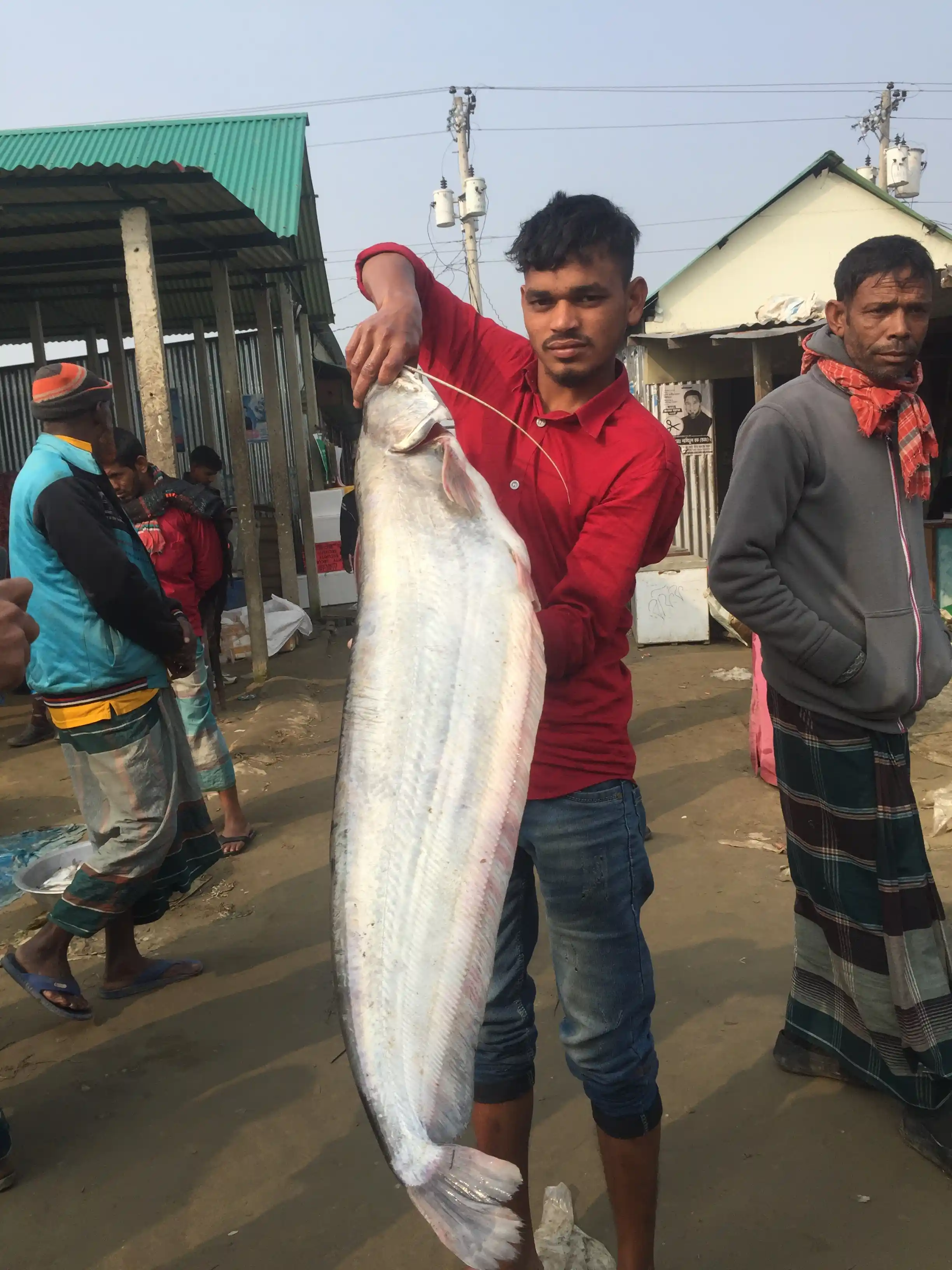 বোয়াল মাছ ( ৬–১০ কেজি)